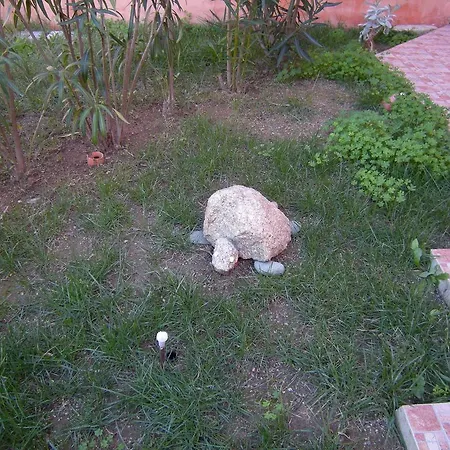 Mare & Mirice - בית נופש *